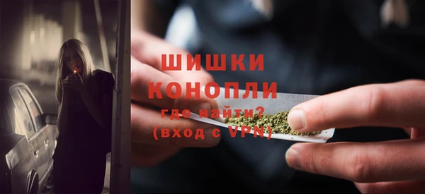 стаф Богородск