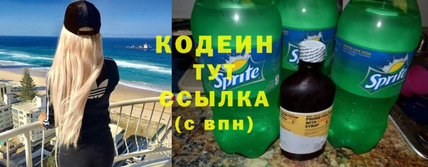 стаф Богородск