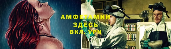стаф Богородск